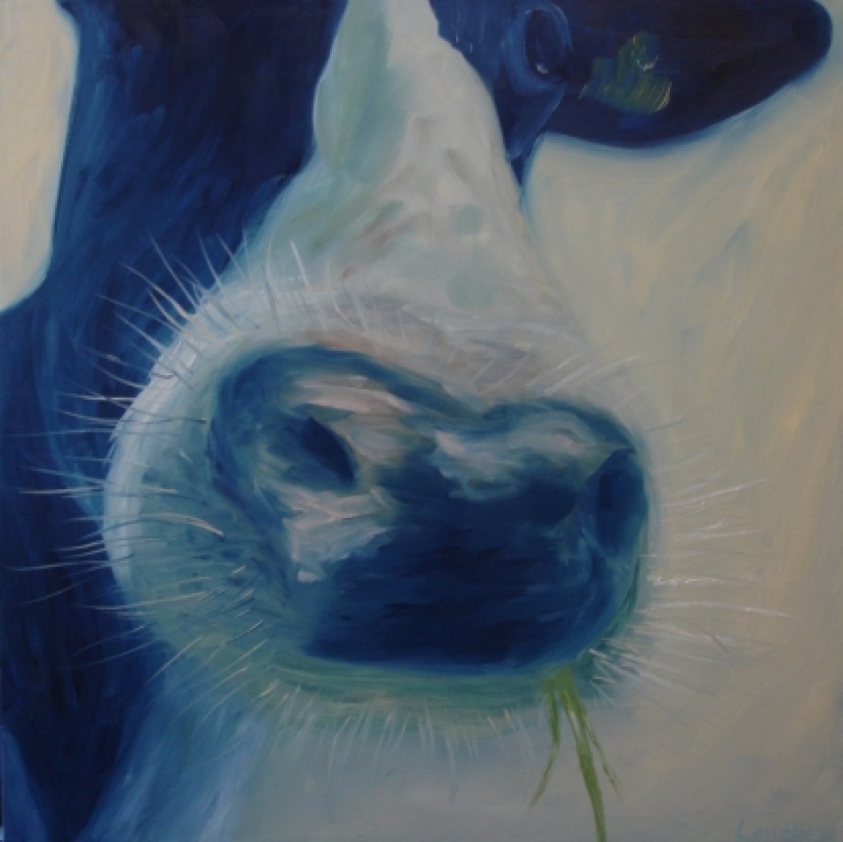 jdl_copyright-2006_-_devon_cow.jpg