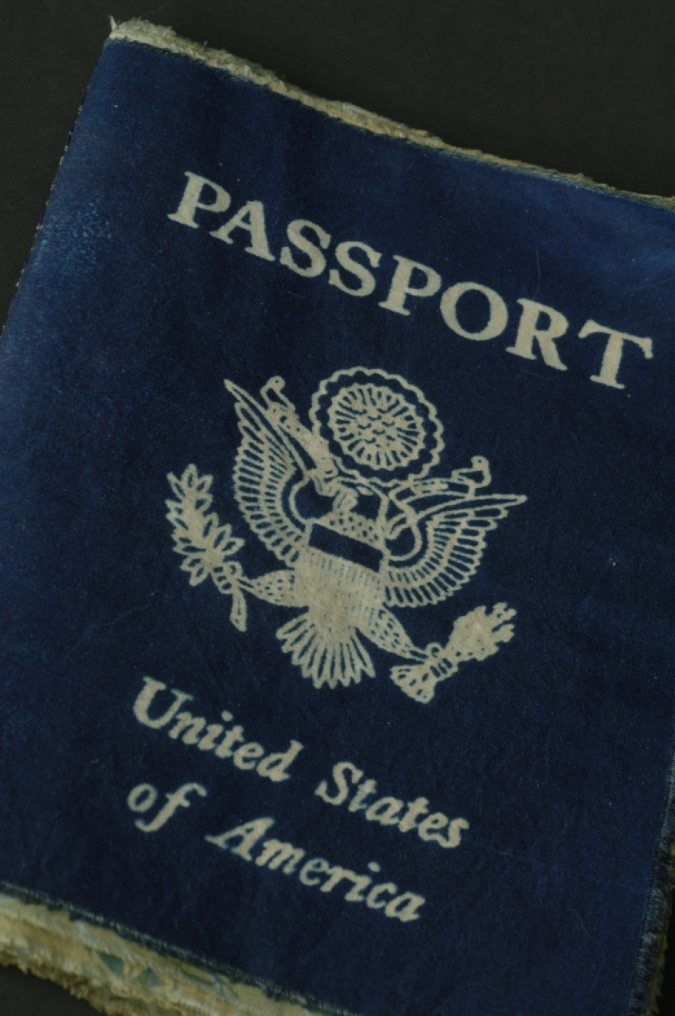 jdl_copyright_2006_passport_4.jpg