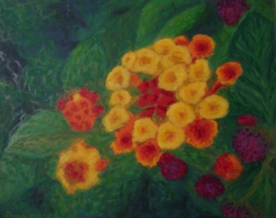 lantana.jpg