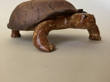 Kona The Tortoise Bowl