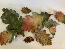 Oak Leaves