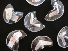 Mini Fortunes Revealed